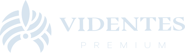 Videntes Premium Logo